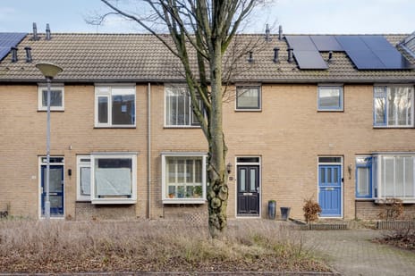 undefined main image