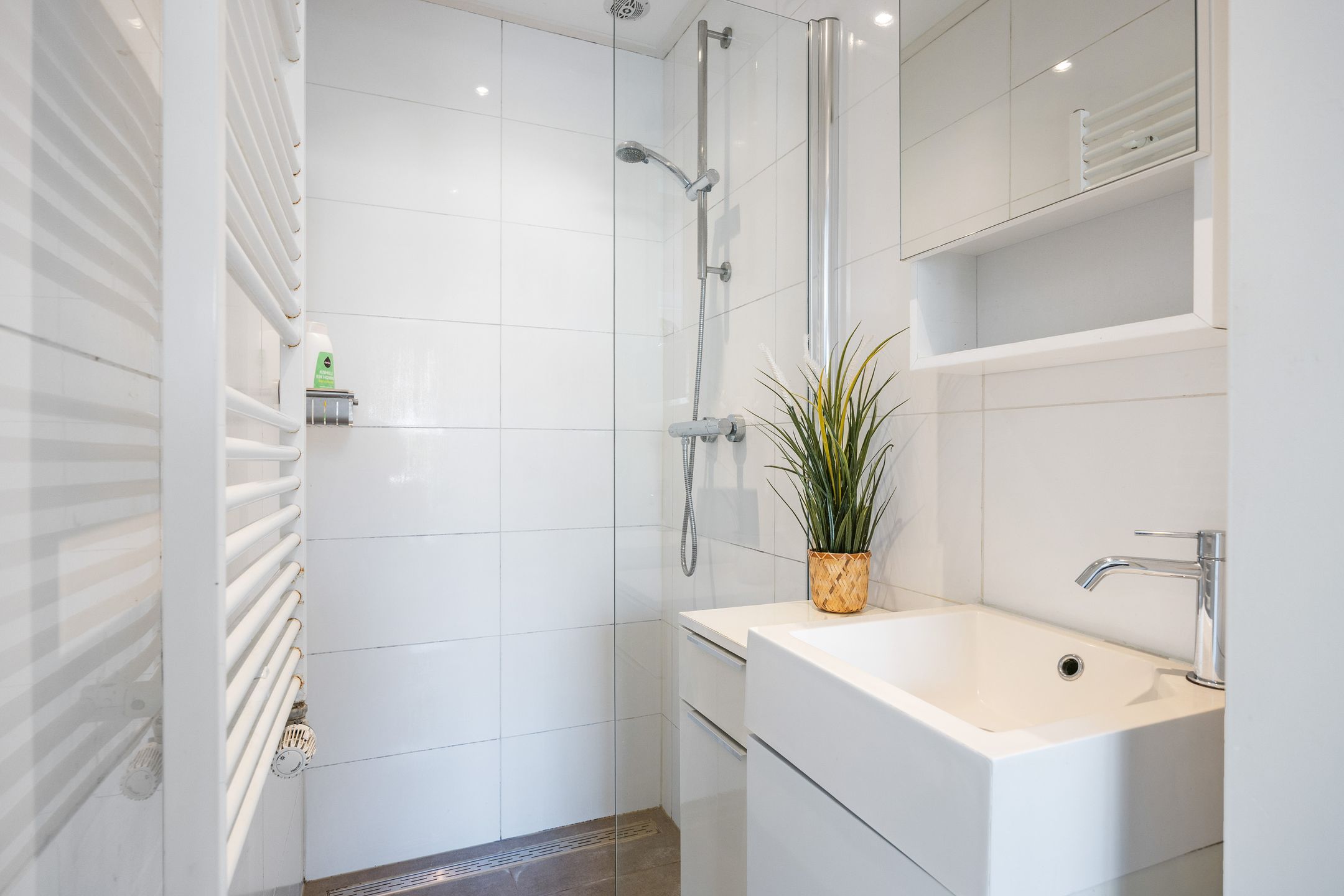 Foto 21 van Willem Dreeslaan 14