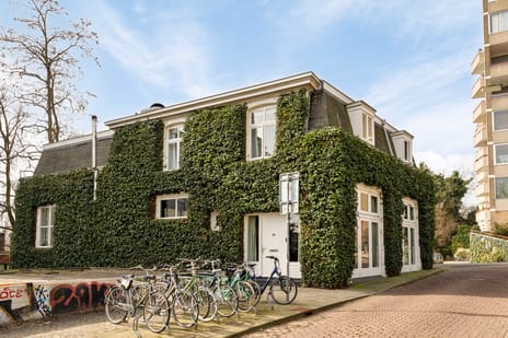 Vijfzinnenstraat thumbnail