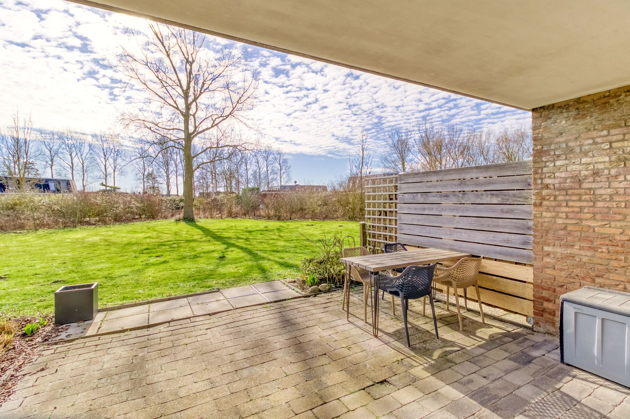 Foto 3 van Schorrebloem 38