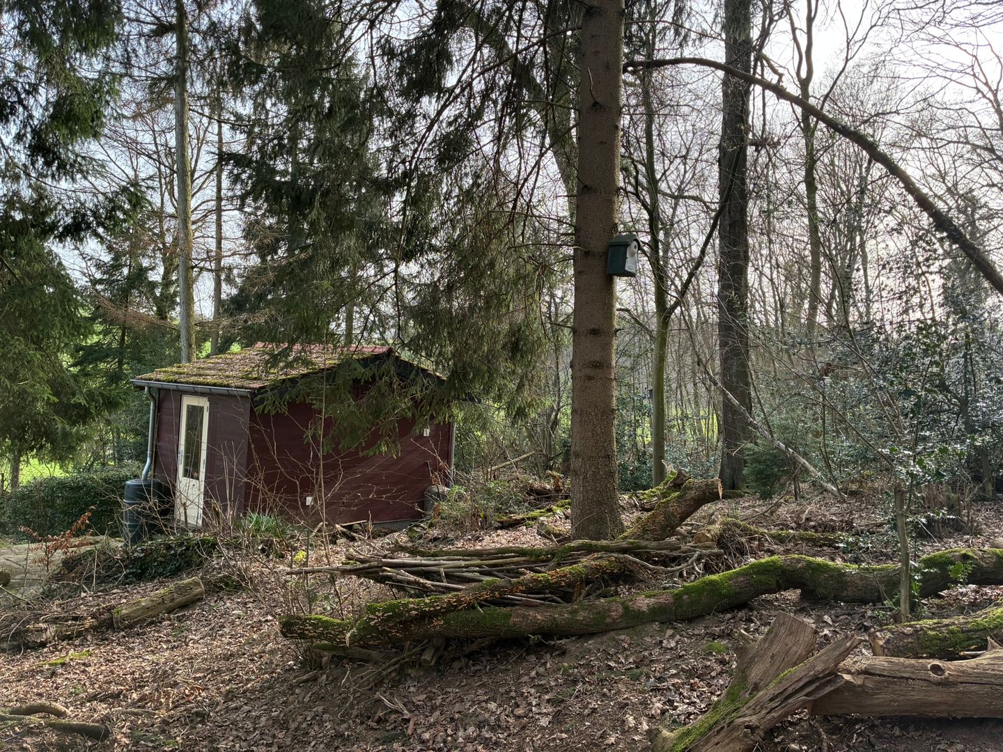 Bekijk foto 3 van Dal Bissenweg