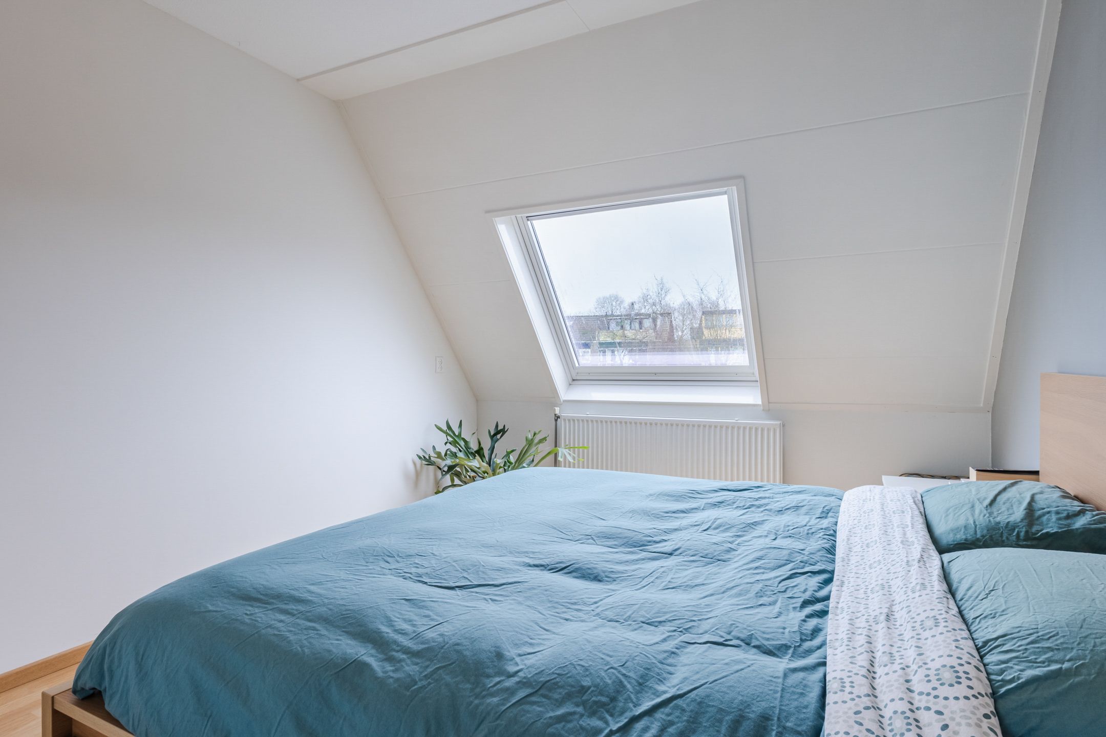 Foto 15 van Kruisbes 2