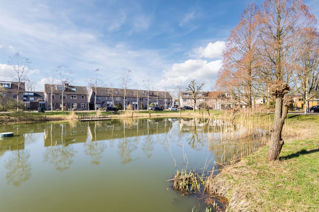 Foto 32 van Kruisbes 2