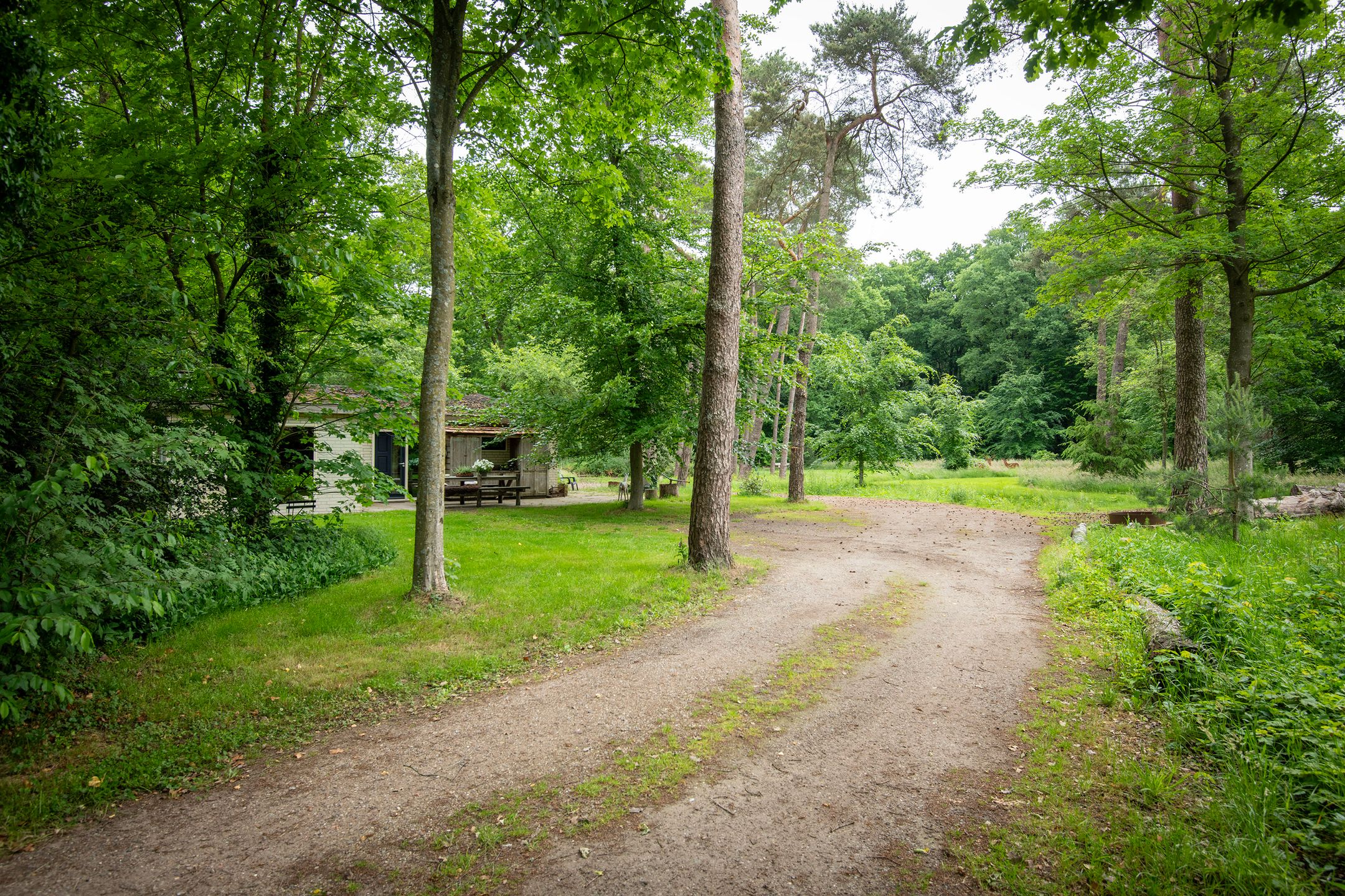 Photo 24 of Zuiderveldweg 18-A