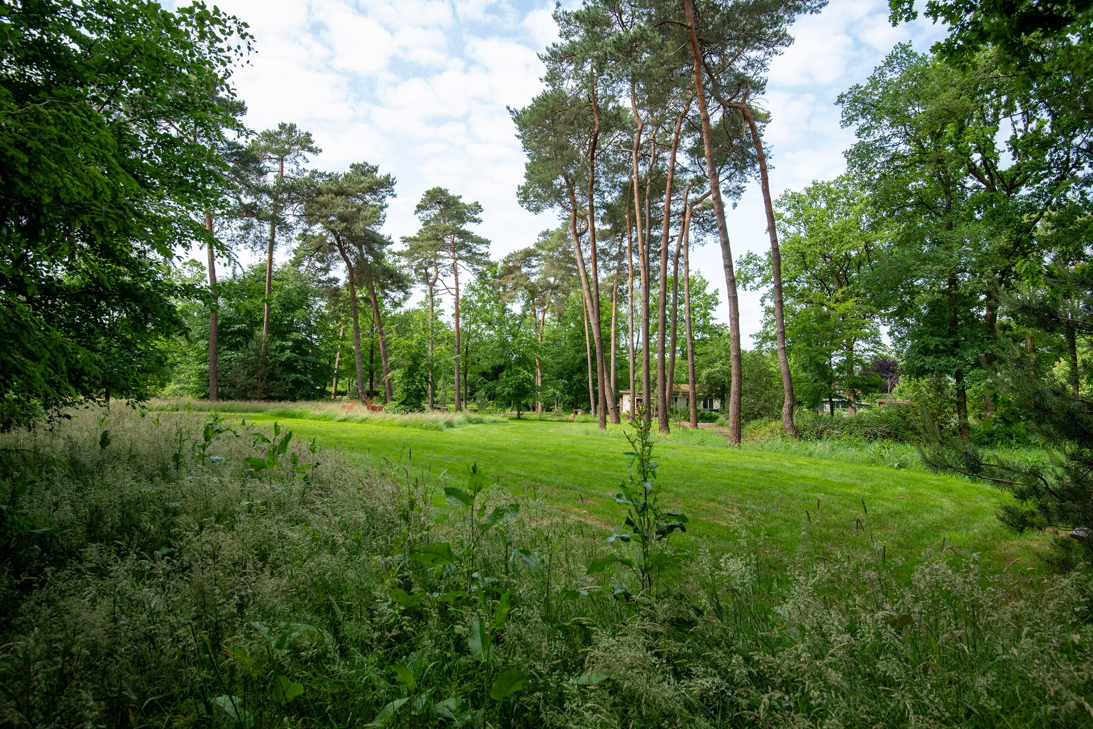 Photo 30 of Zuiderveldweg 18-A