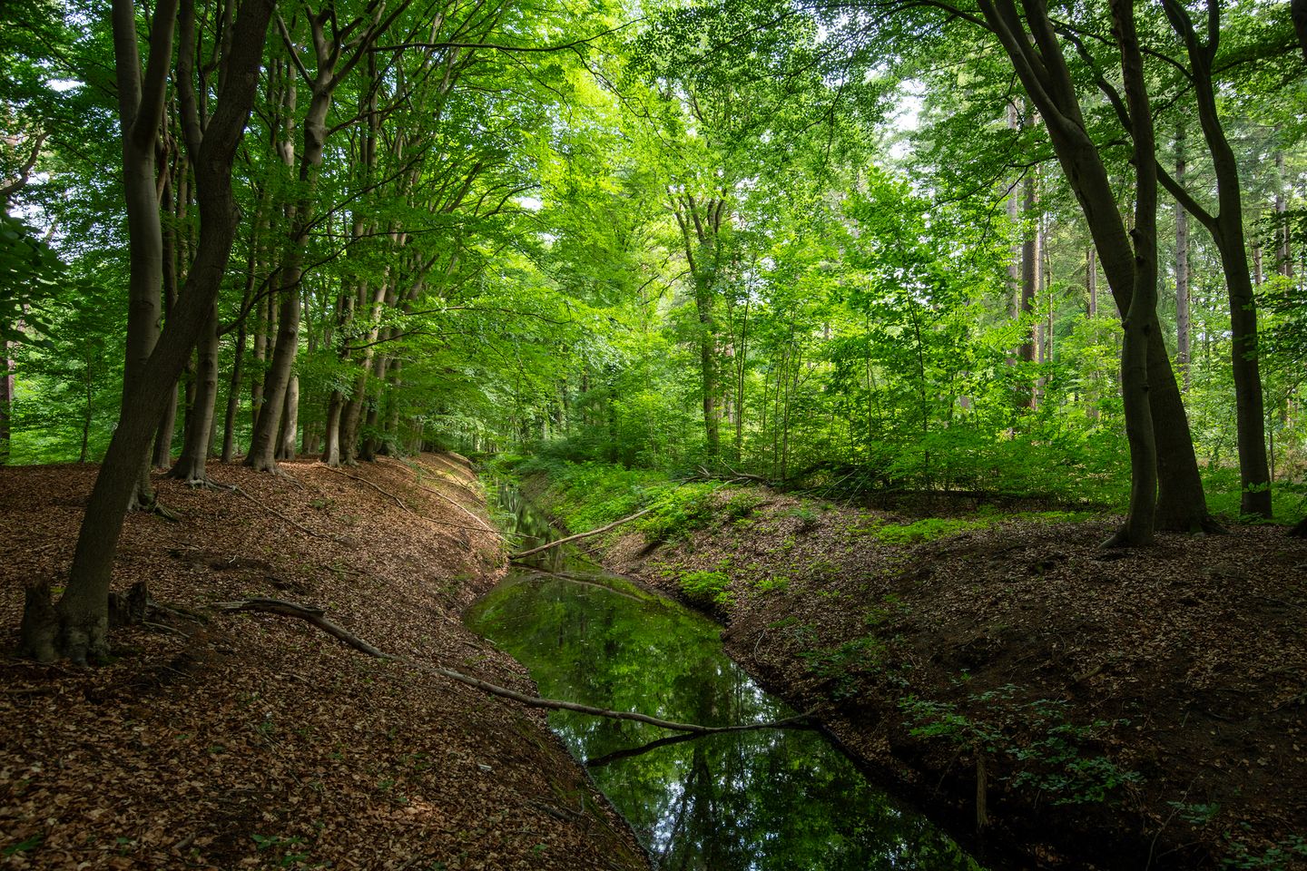 Photo 40 of Zuiderveldweg 18-A