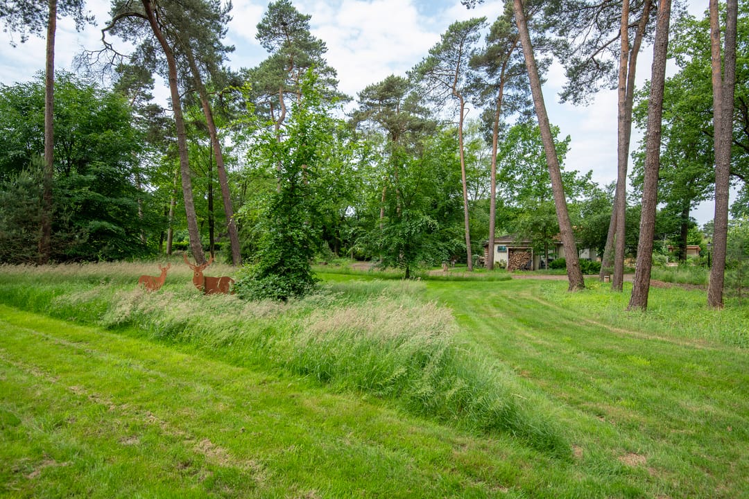 Photo 31 of Zuiderveldweg 18-A