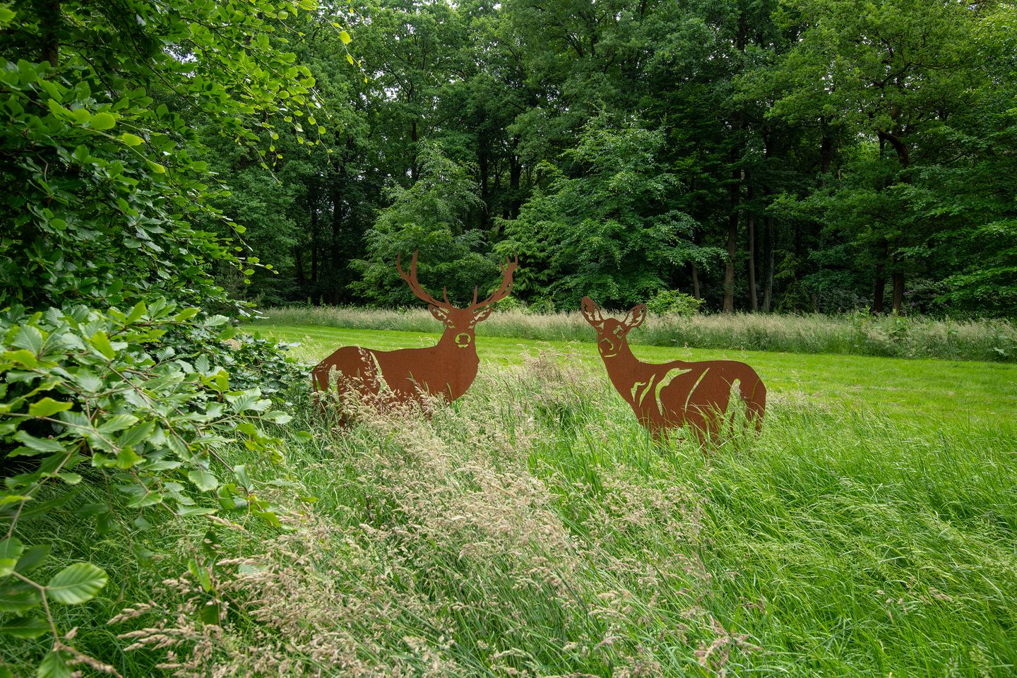 Photo 10 of Zuiderveldweg 18-A