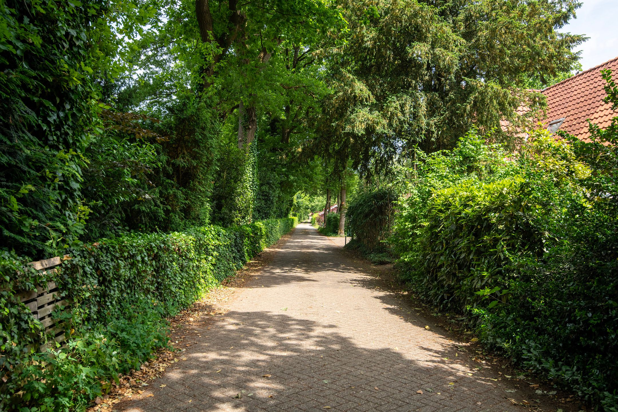 Photo 3 of Zuiderveldweg 18-A