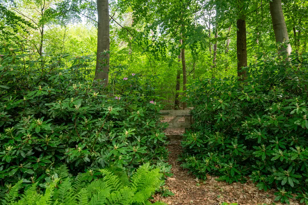 Photo 11 of Zuiderveldweg 18-A