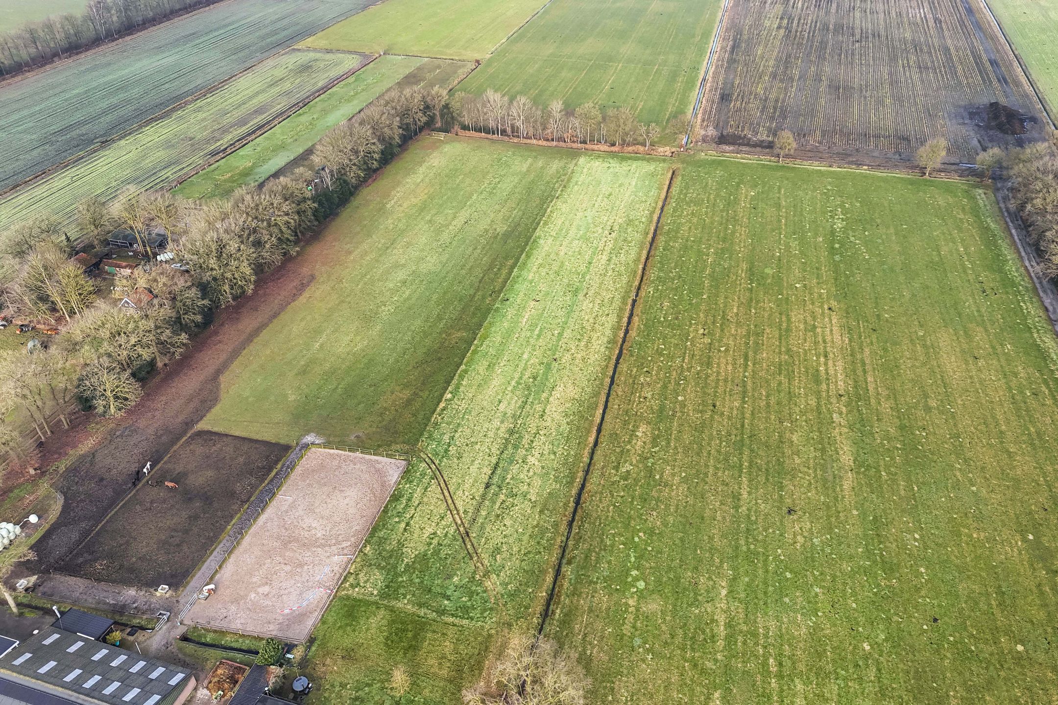 Foto 6 van Oosterstreek 125