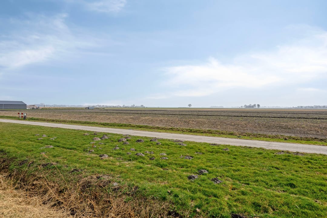 Photo 7 of Molenwijk 31