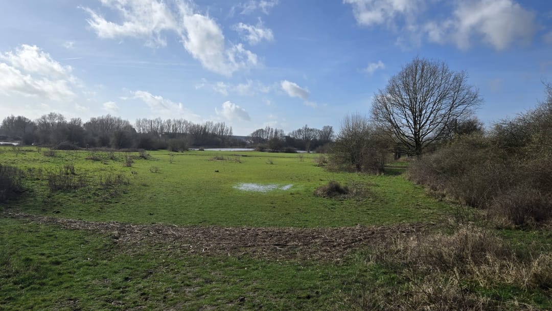 Foto 11 van Utrechtseweg 125