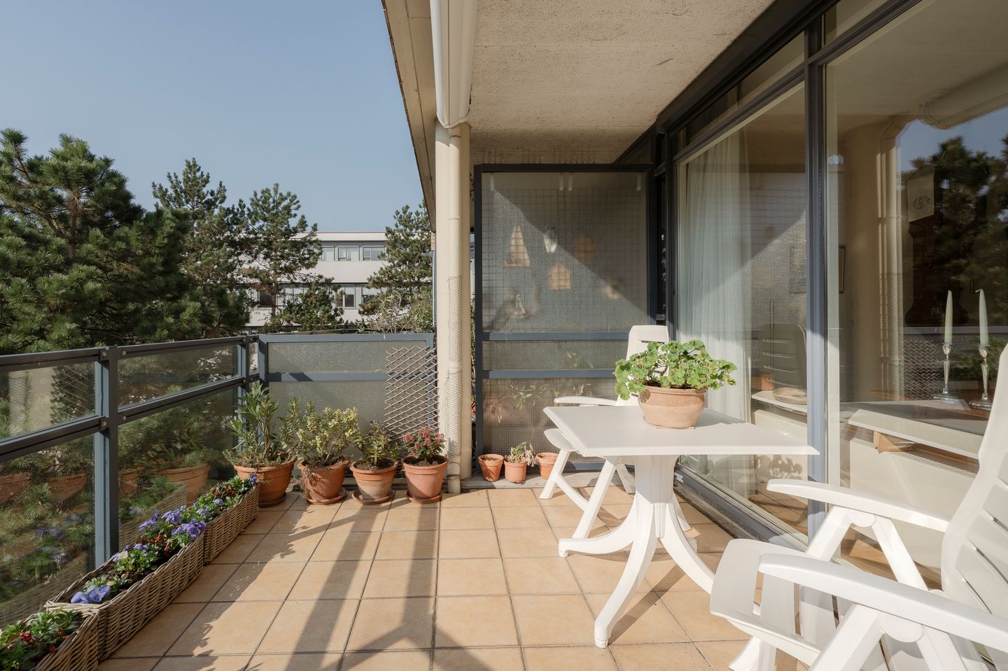 Foto 19 van Jan Willem Frisohof 39