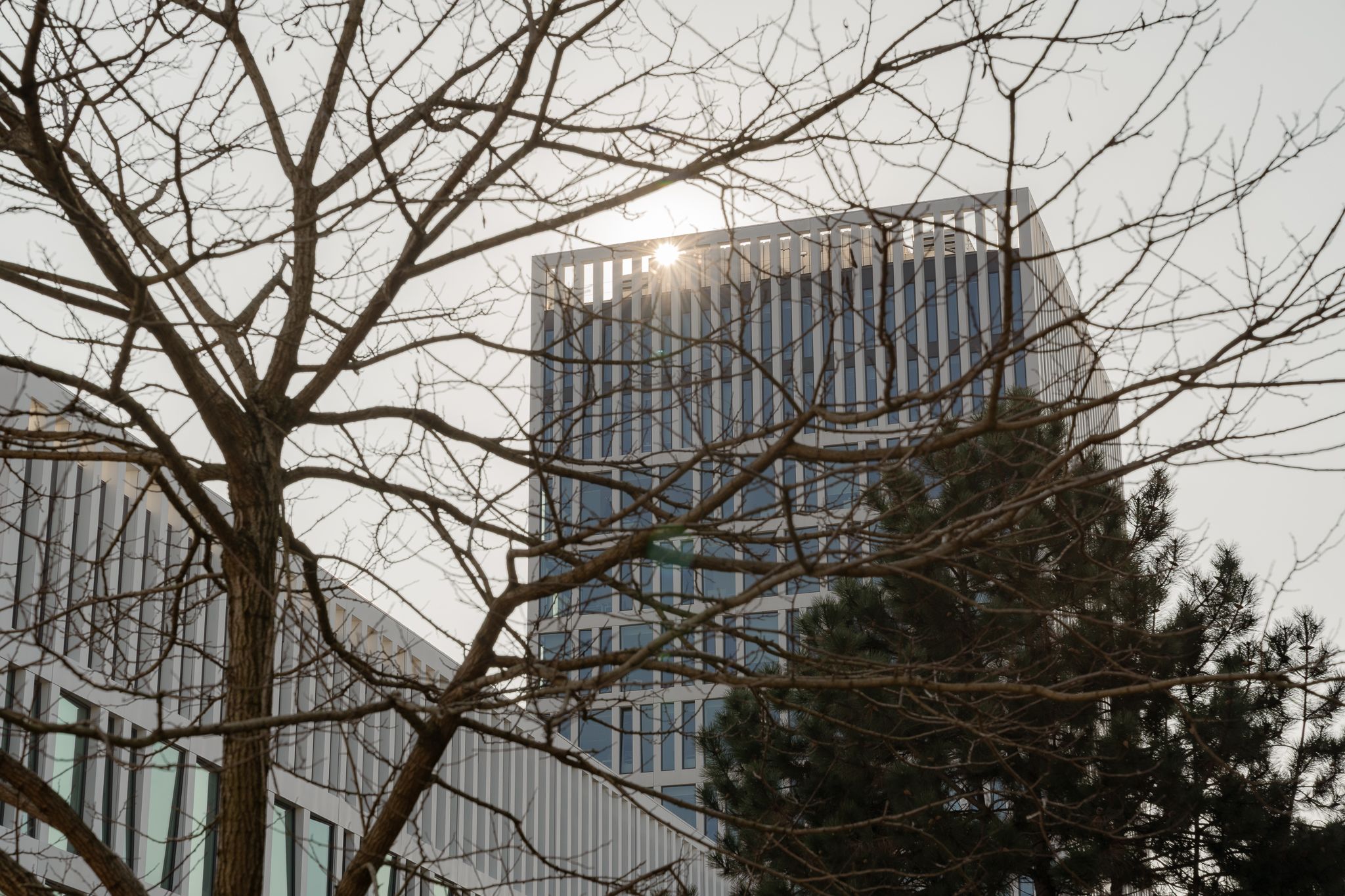 Foto 39 van Jan Willem Frisohof 39