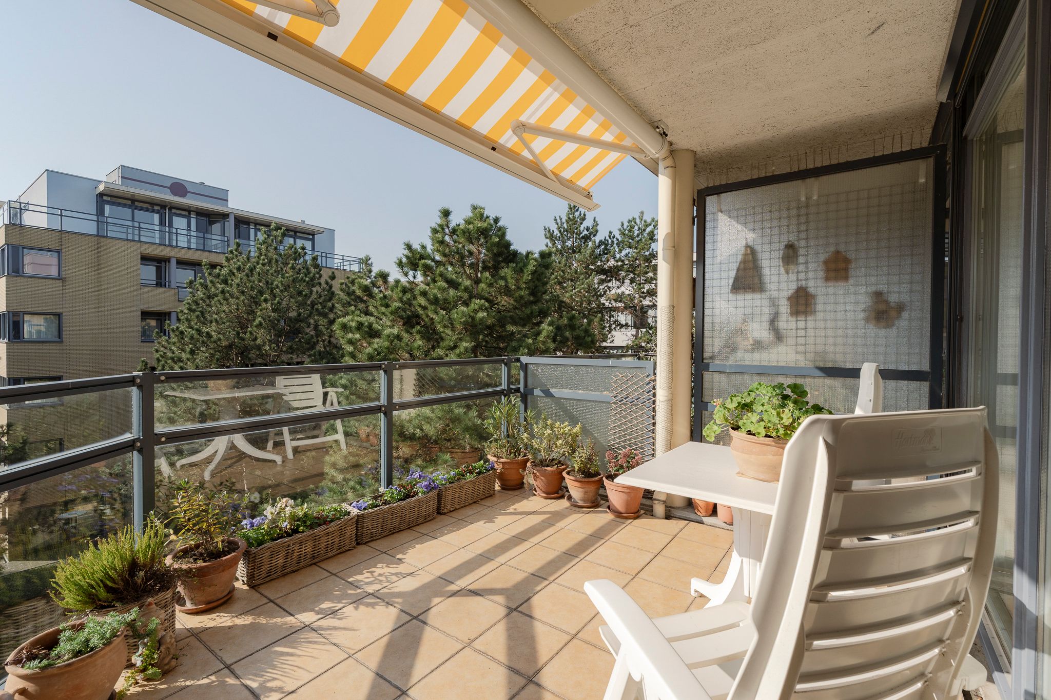 Foto 18 van Jan Willem Frisohof 39