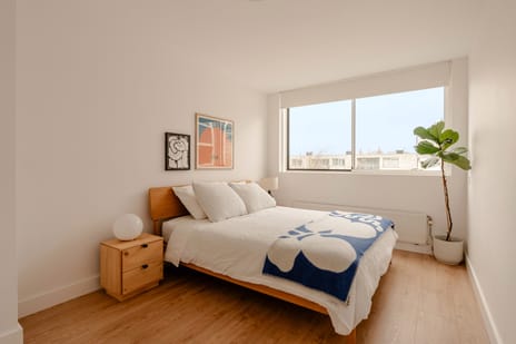 Beukenplein 4-D tertiary image