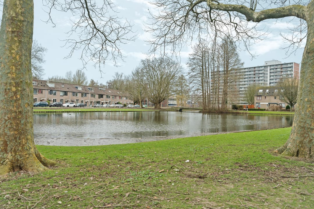 Foto 41 van Schuilingsoord 139