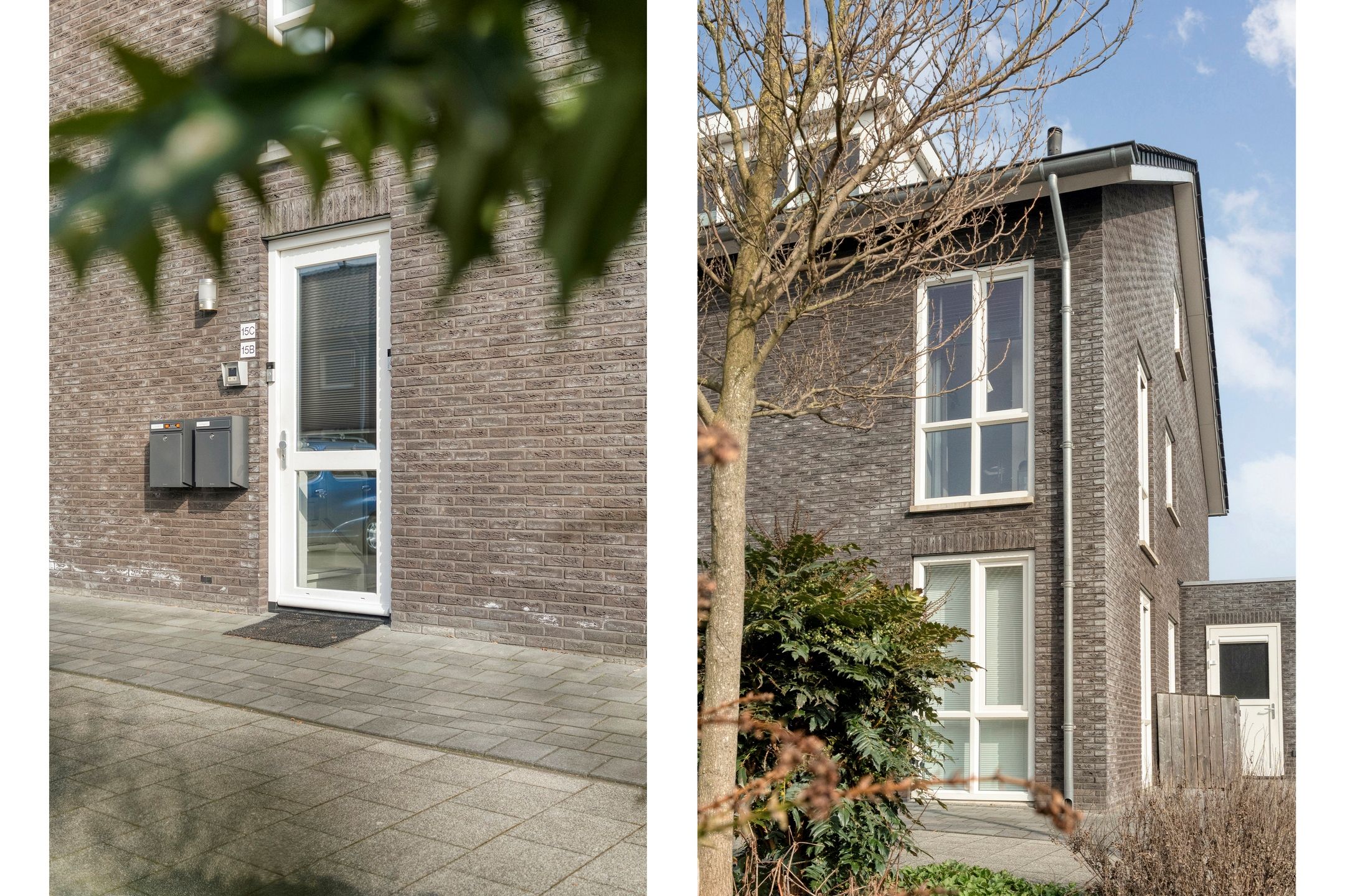 Foto 12 van Stekelbaars 15-C