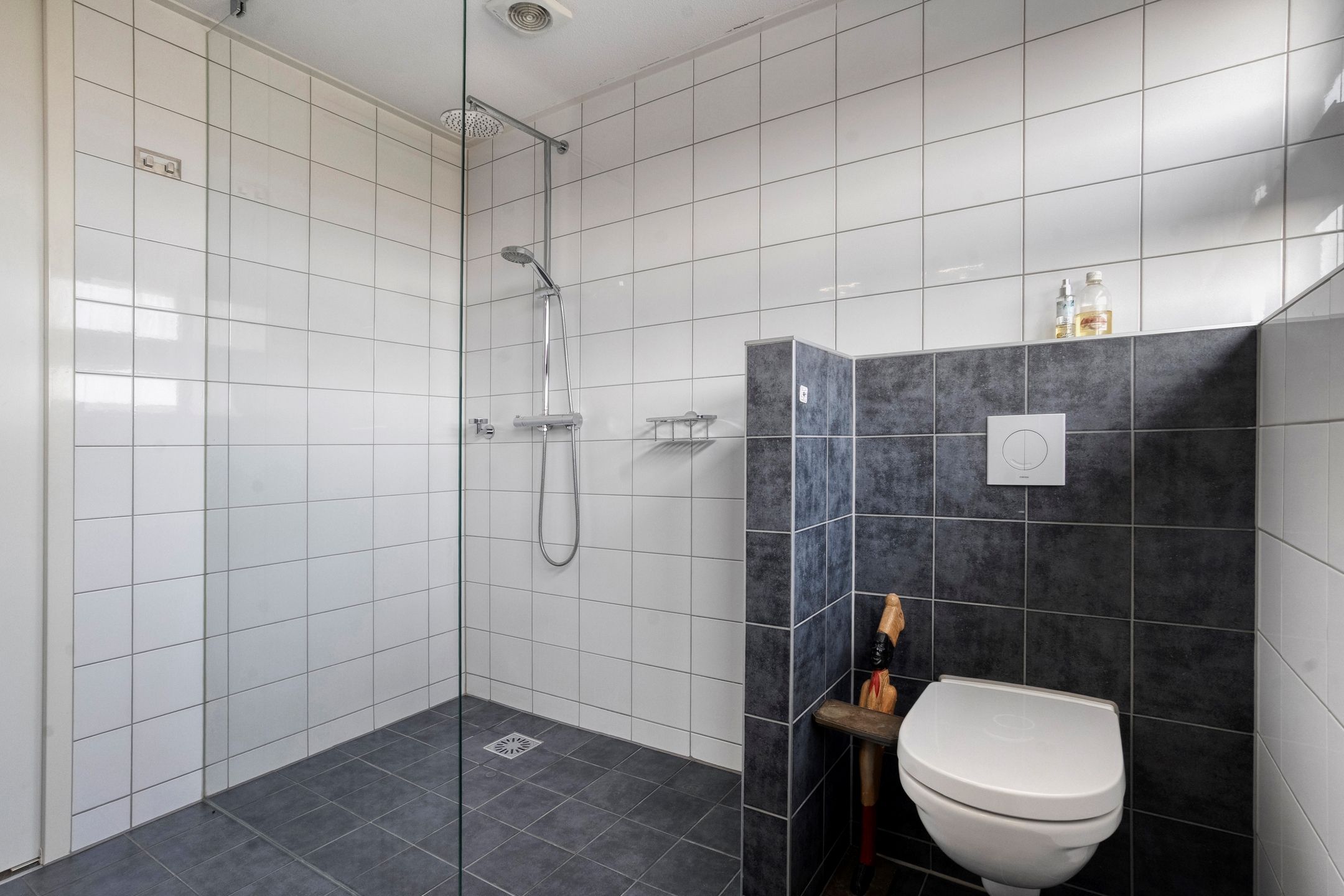 Foto 36 van Stekelbaars 15-C