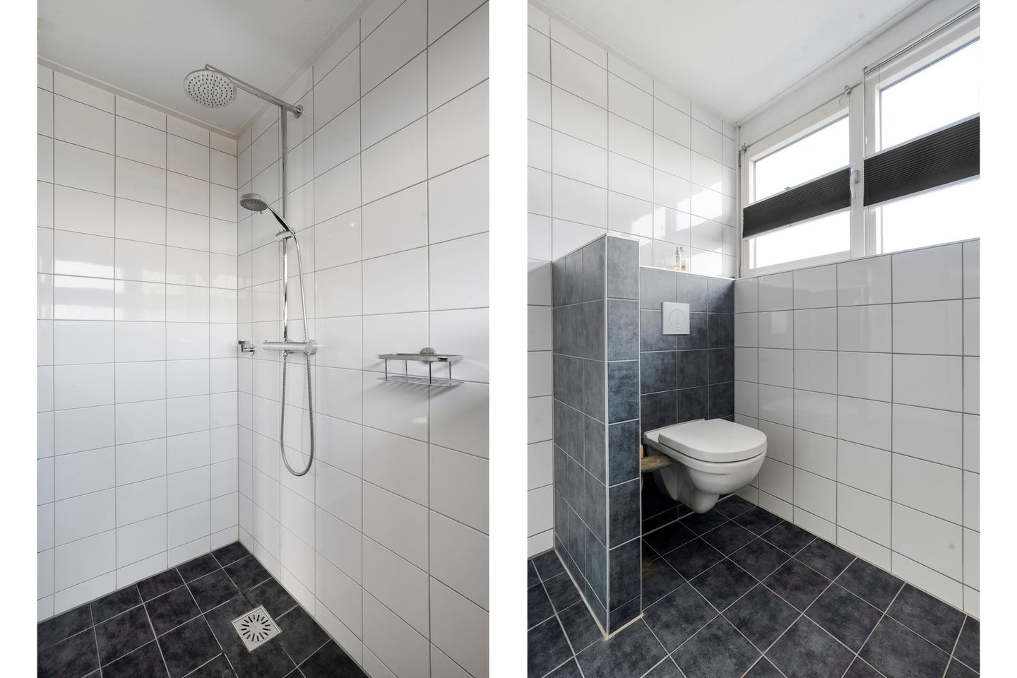 Foto 34 van Stekelbaars 15-C