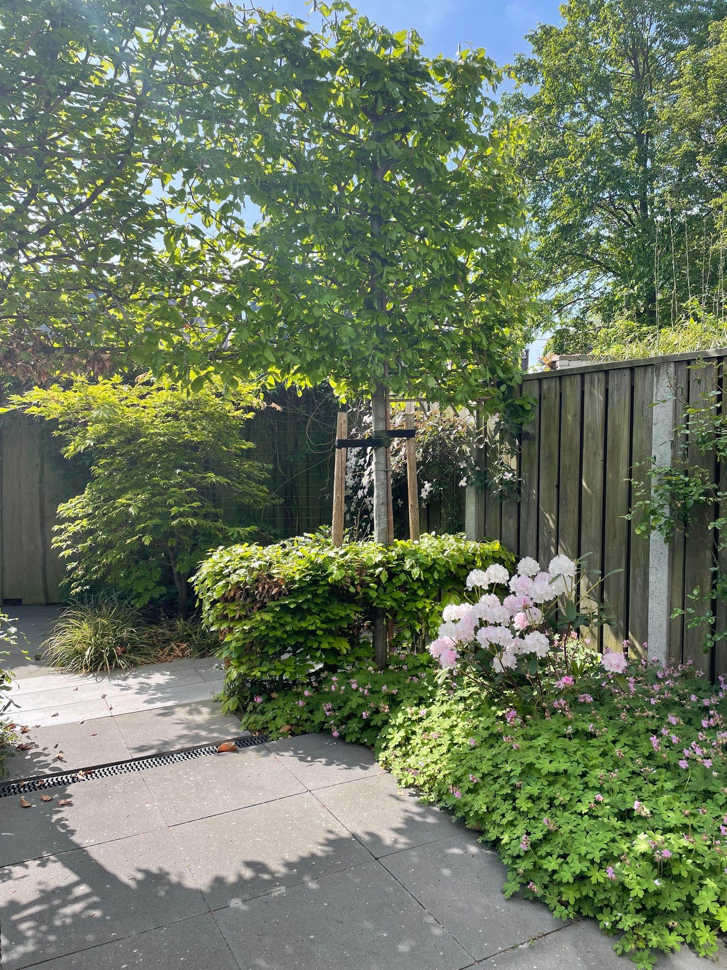 Photo 34 of Mr. J.H. de Pontplein 27