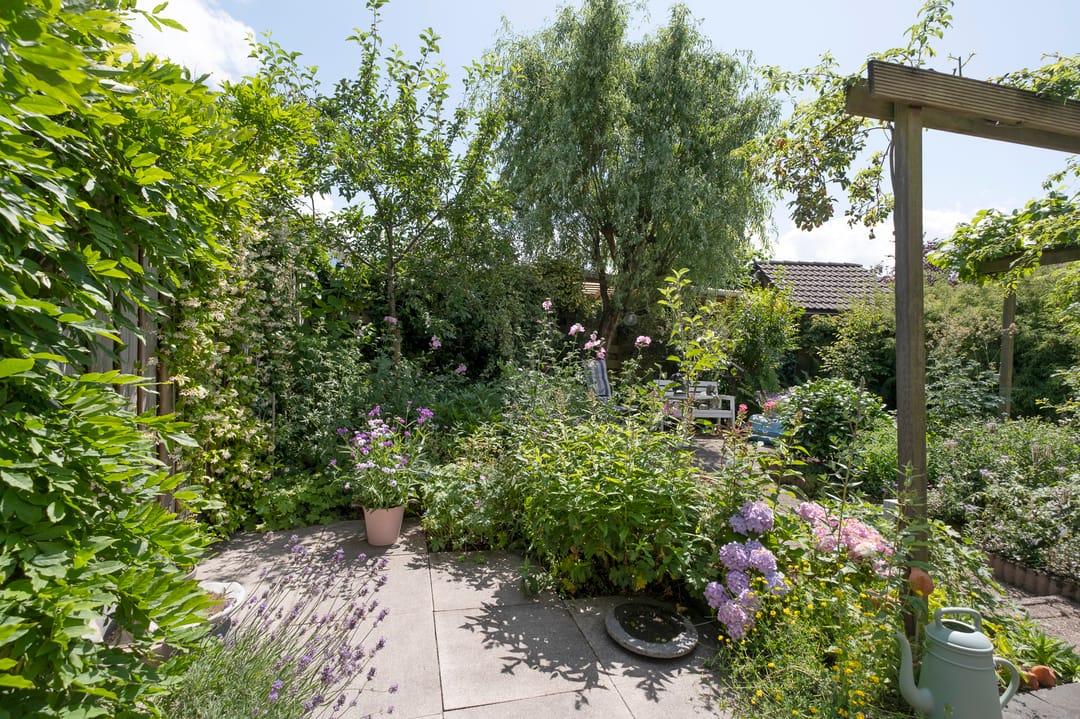 Photo 31 of De Made 3