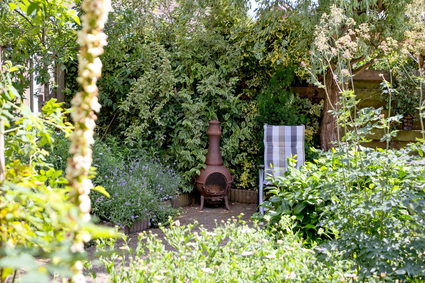 Photo 34 of De Made 3