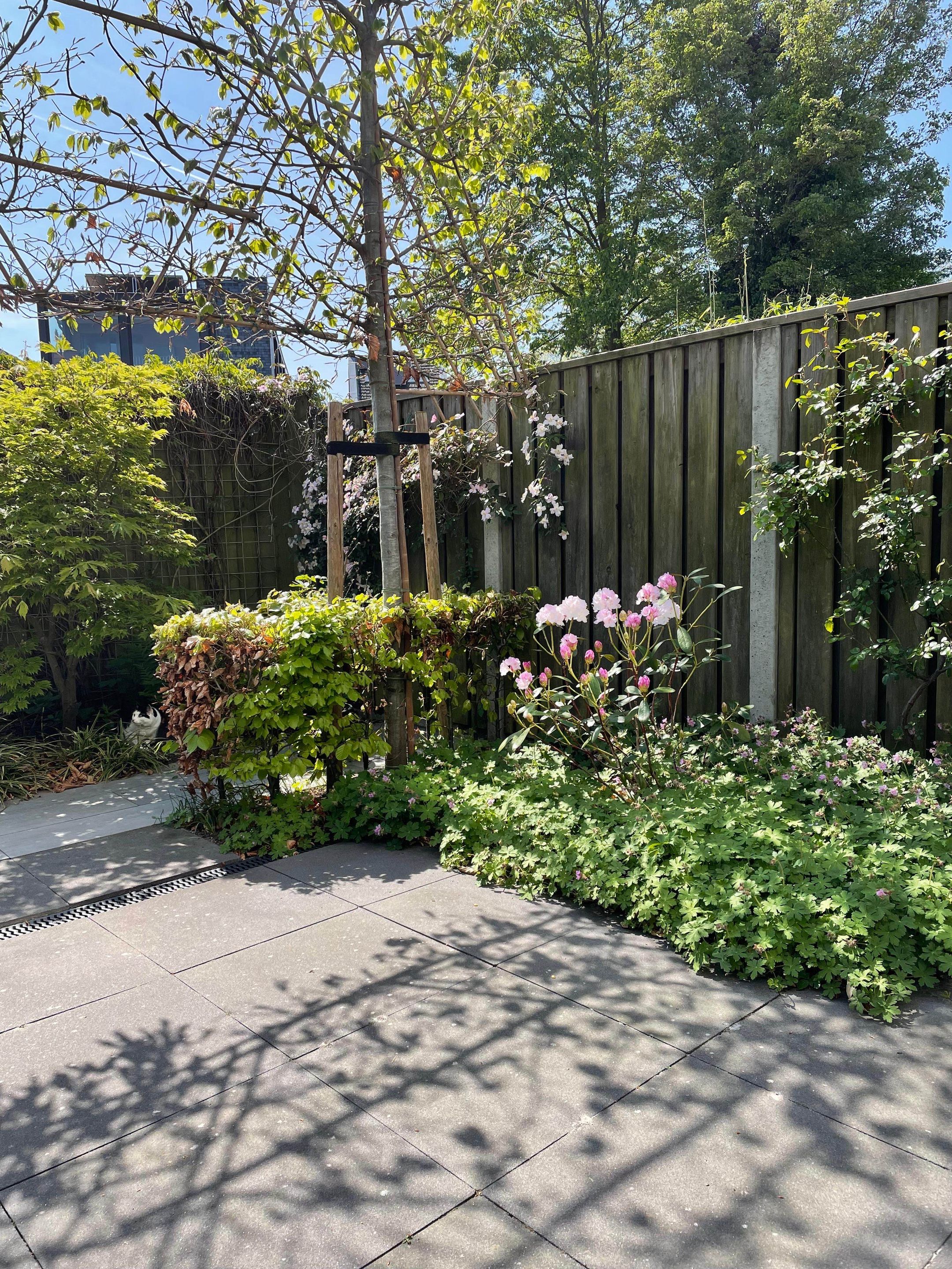 Photo 33 of Mr. J.H. de Pontplein 27