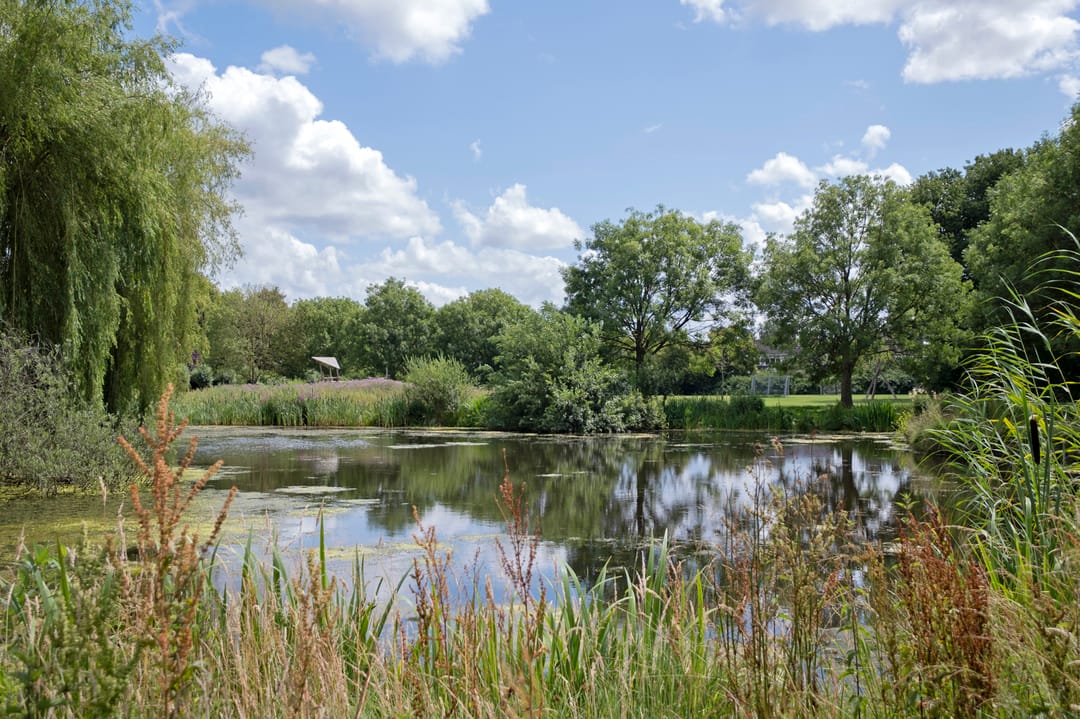 Photo 43 of De Made 3