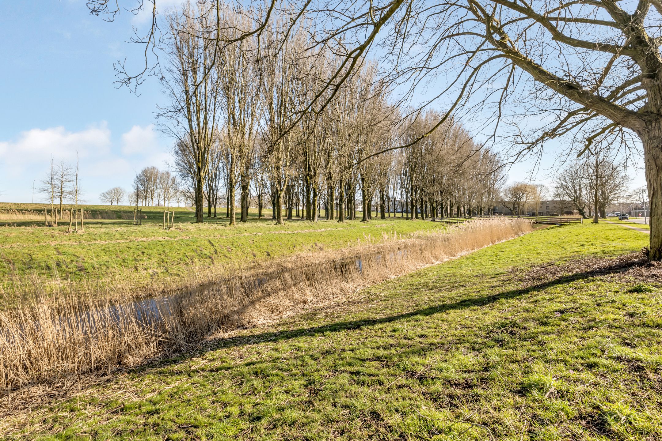 Spacious Characteristic Wooden Residence in Prime Zeewolde Location — 41
