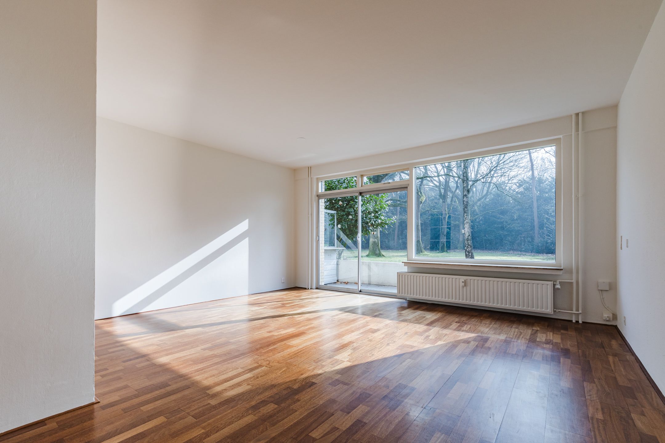 Foto 3 van Zwartvenseweg 22