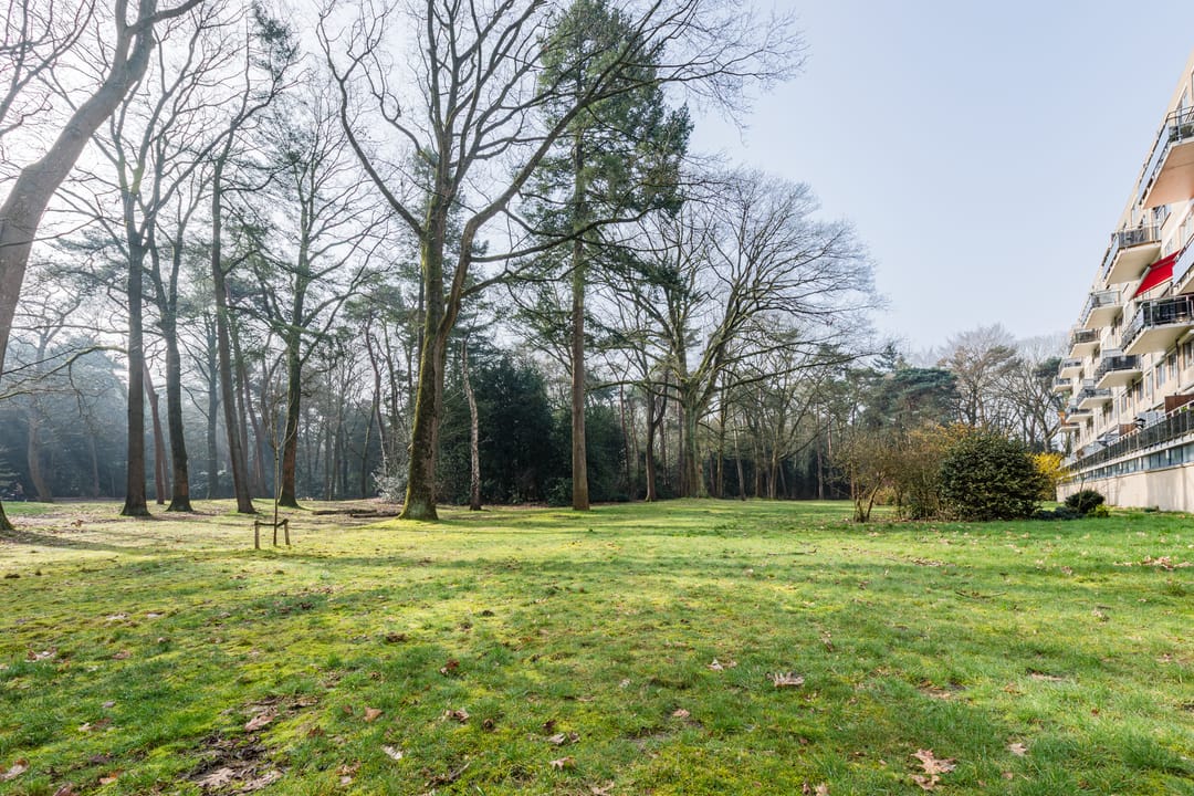 Foto 32 van Zwartvenseweg 22