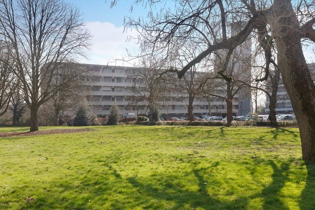 Foto 46 van Zuiderkruis 250