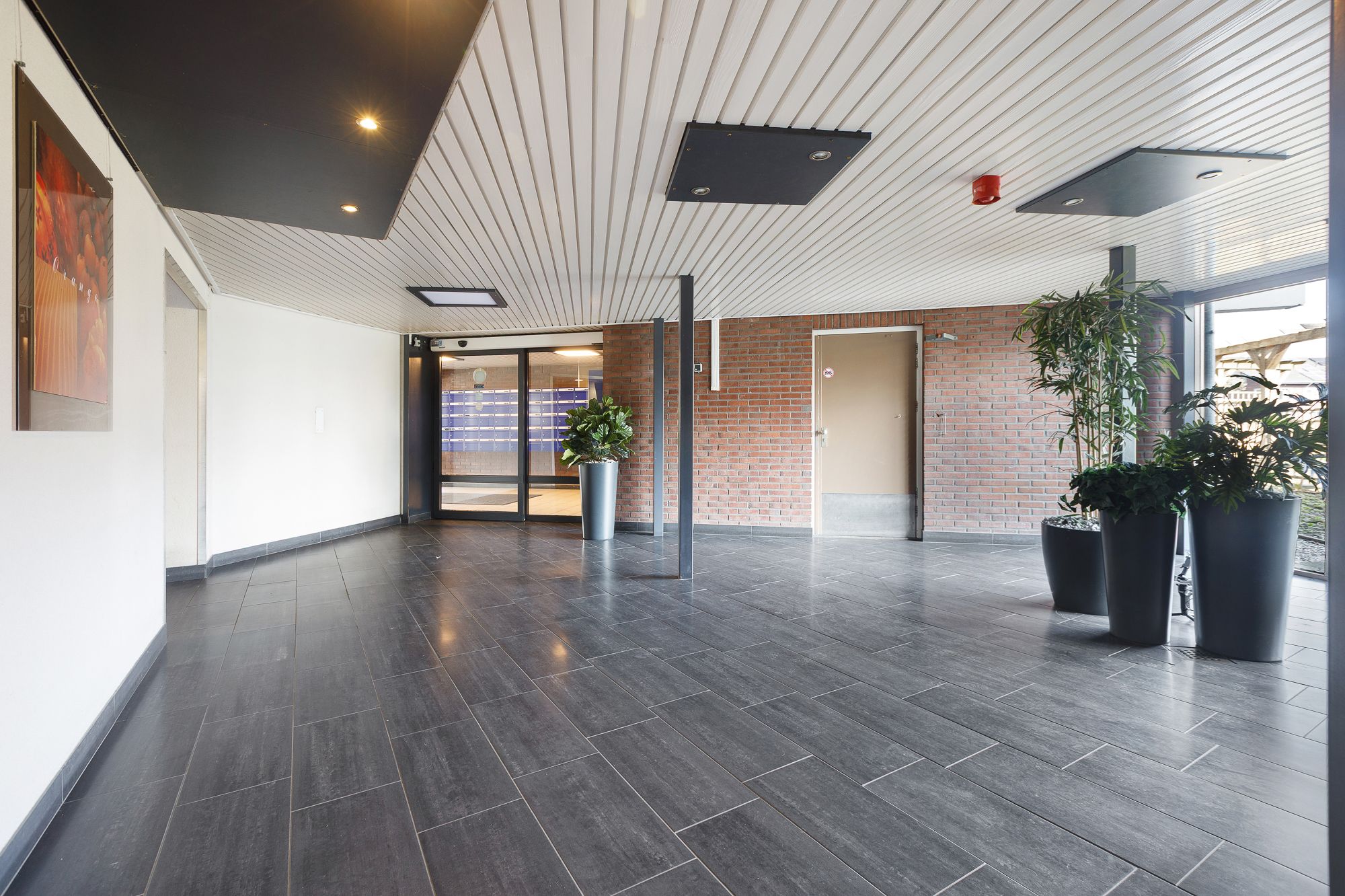 Foto 42 van Zuiderkruis 250