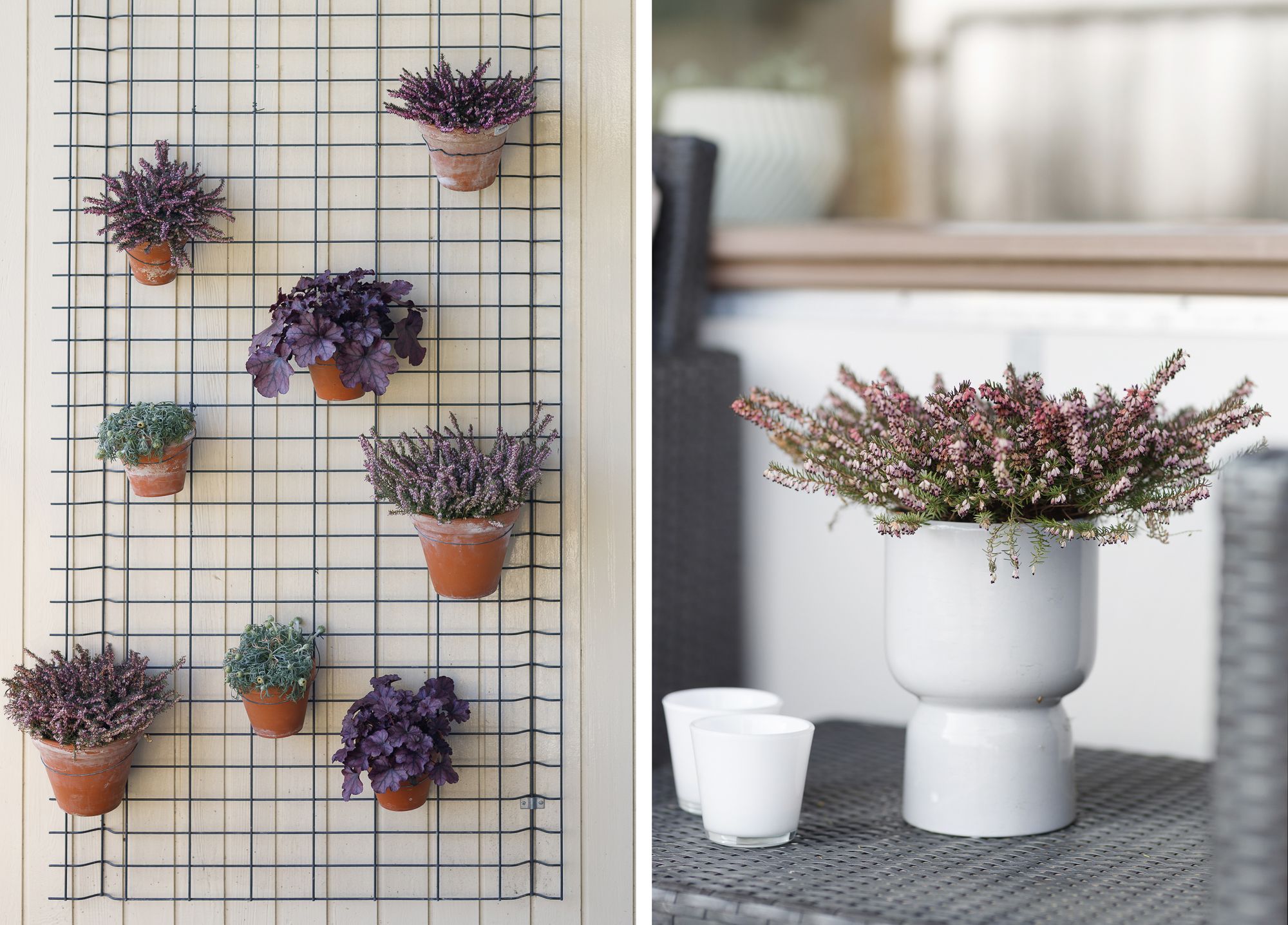 Foto 15 van Zuiderkruis 250