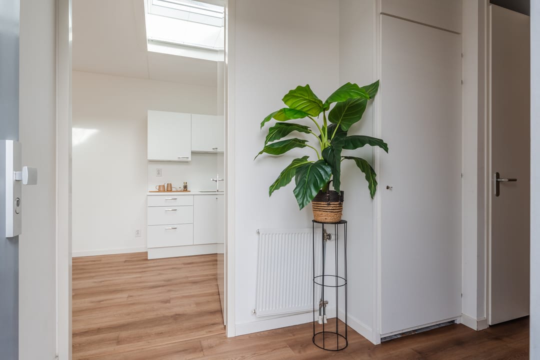 Foto 7 van Collegiantenstraat 76-A