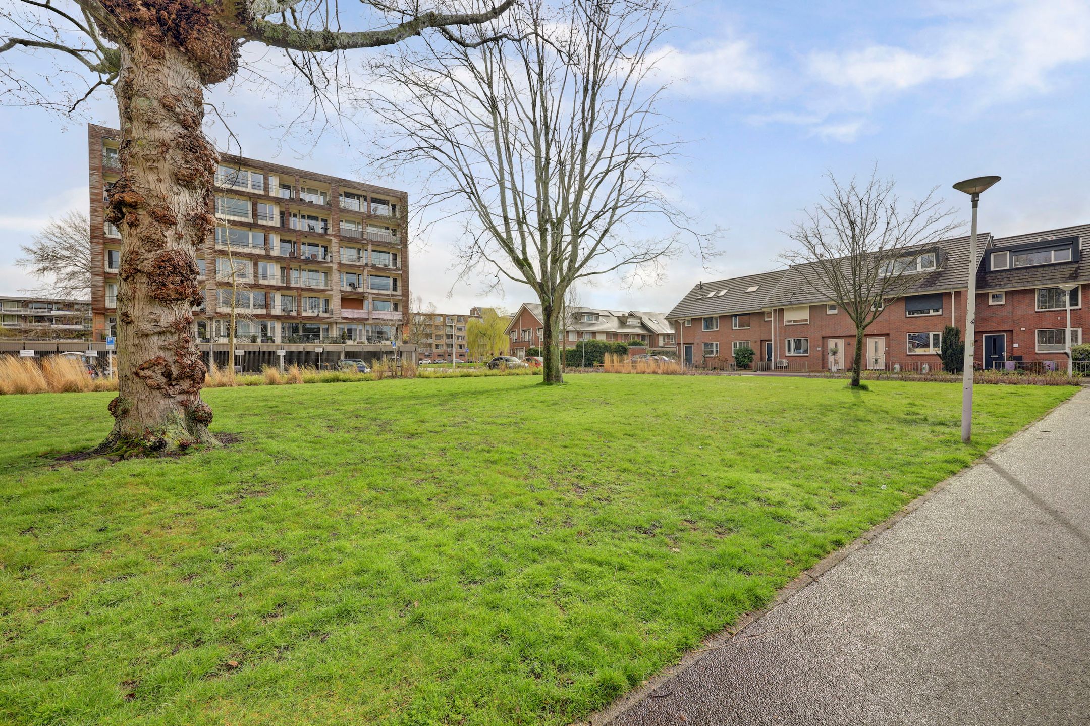 Foto 24 van Kubbeplantsoen 26