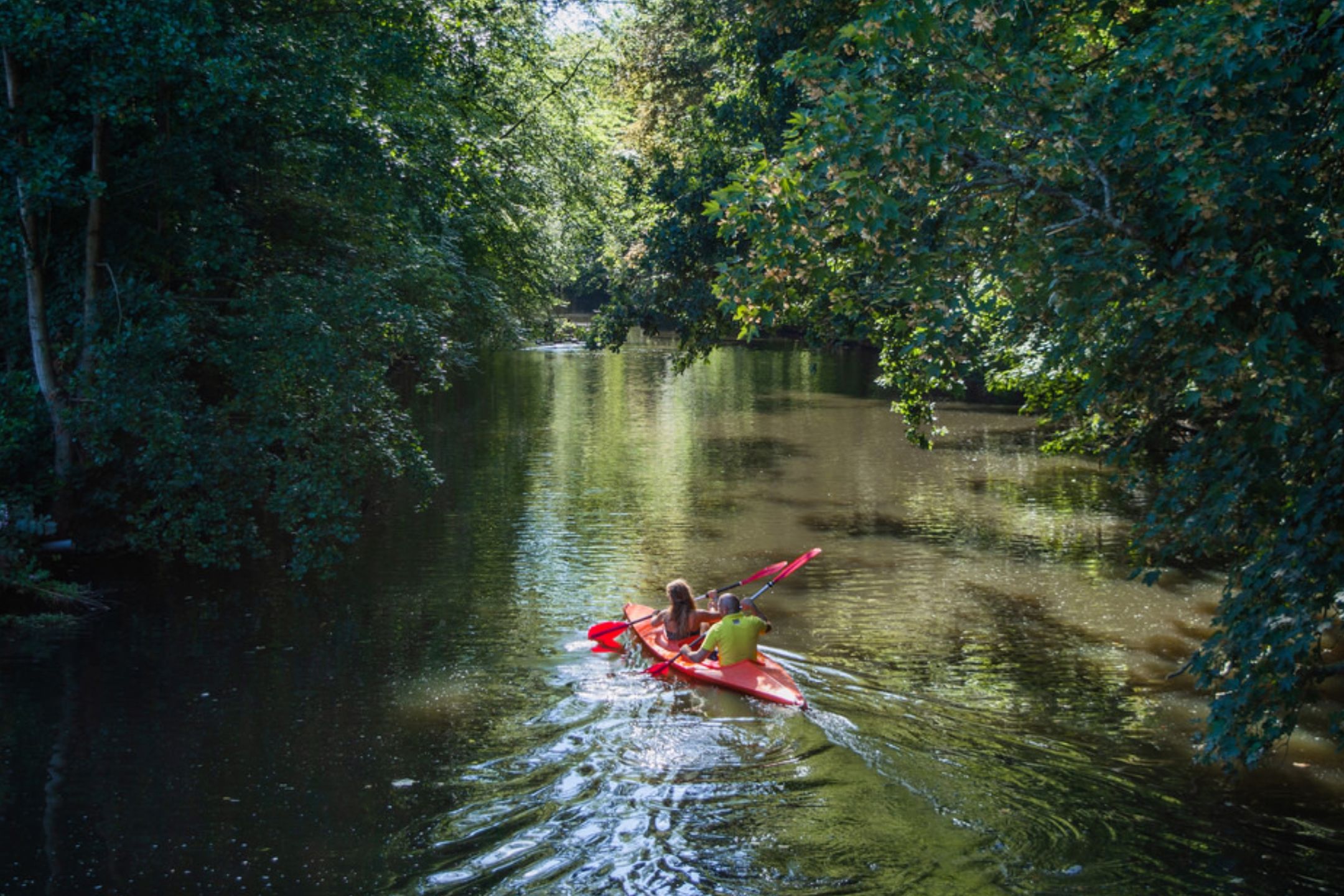 Photo 36 of Populierenlaan 117