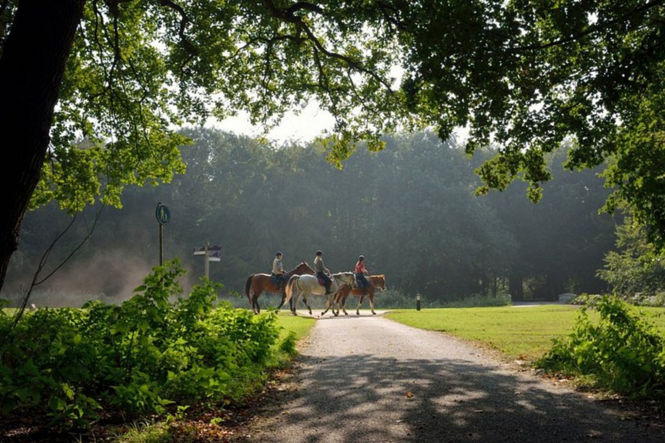 Photo 39 of Populierenlaan 117