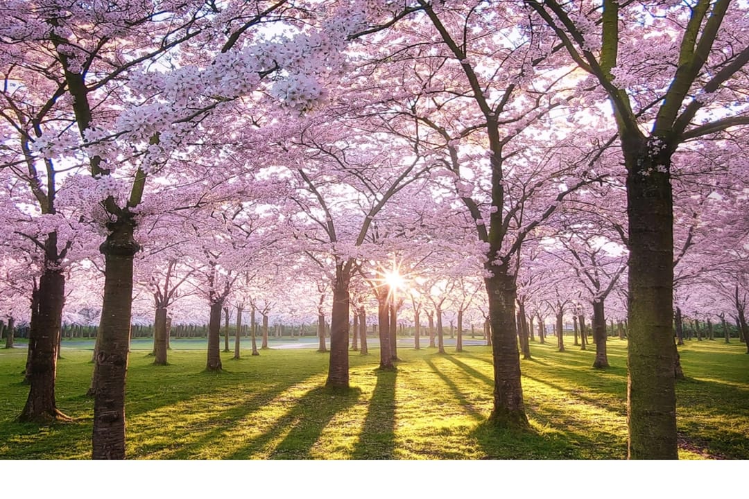 Photo 38 of Populierenlaan 117