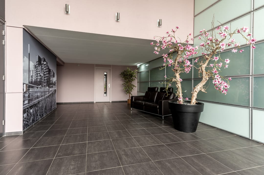 Photo 8 of Zilverparkkade 48