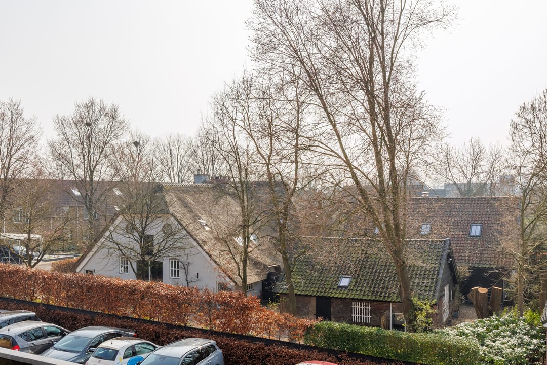 Foto 26 van Bijenkorf 10