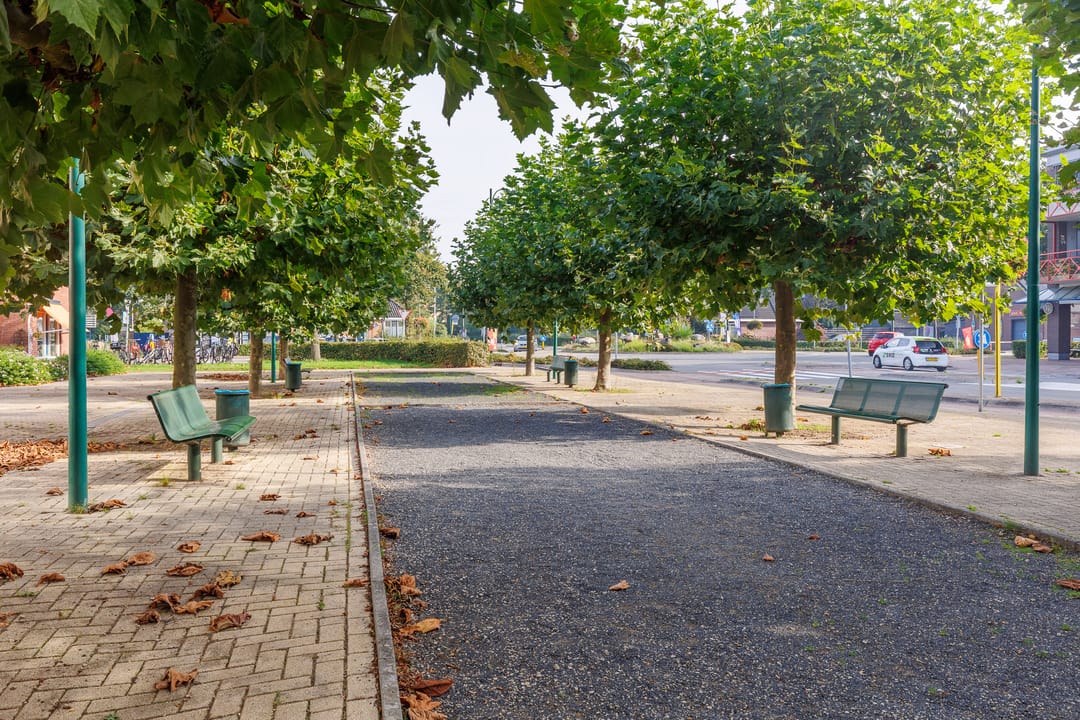 Foto 38 van Bijenkorf 10