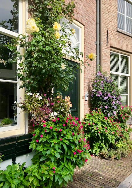Photo 45 of Brede Haven 38