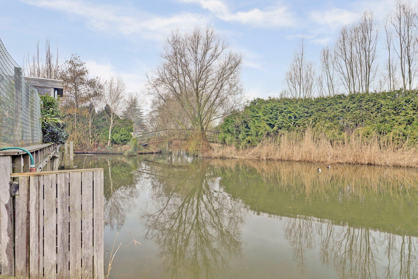 Foto 25 van Krokus 24