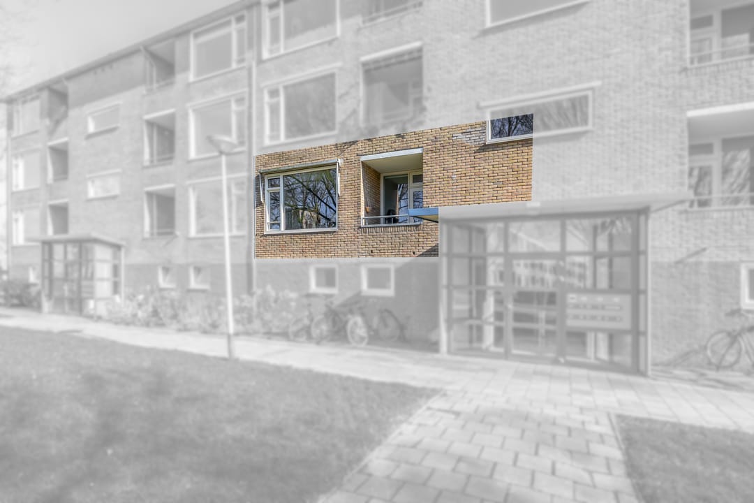 Foto 7 van Dierenriemstraat 63