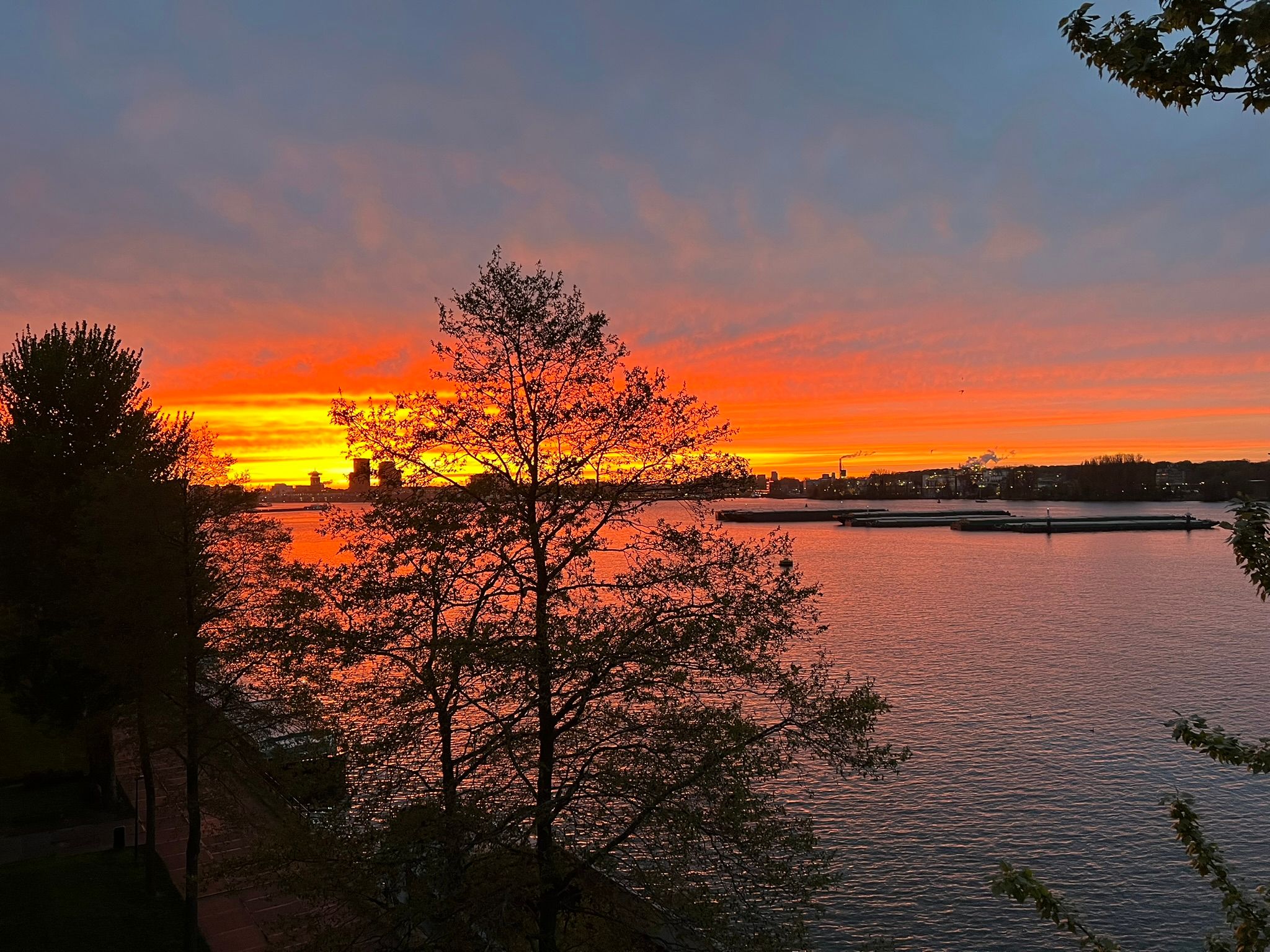 Foto 27 van KNSM-laan 821