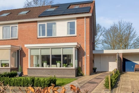 undefined main image