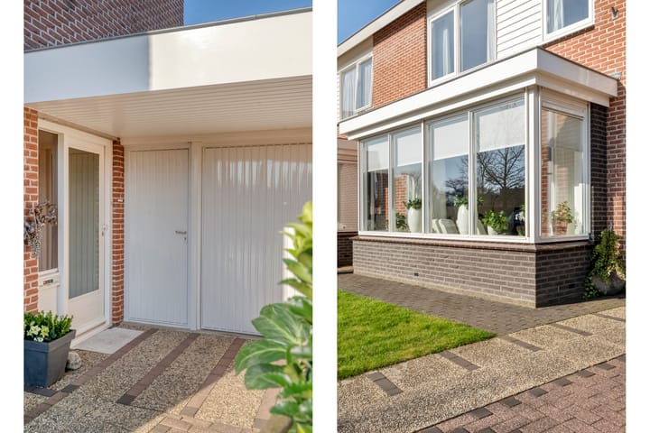 Photo 4 of Boterbloem 13